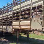 1975 Hendred Cattle Link - Cullinan (1) 1975 Hendred Cattle Link – Cullinan (1)